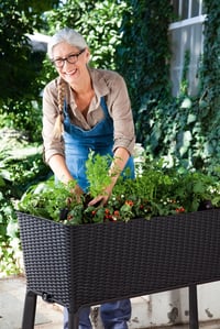 EASY GROW květináč Rojaplast (foto 4)