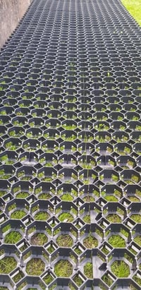 EKOGRID Zatravňovací dlaždice 50x50x4 cm Rojaplast (foto 7)