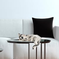 Dekorace CAT ASIRGROUP (foto 26)
