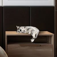 Dekorace CAT ASIRGROUP (foto 22)