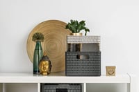 Úložný box ROTHO COUNTRY Rojaplast (foto 3)