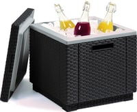 ICE CUBE Rojaplast (foto 3)