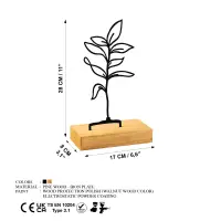 Dekorace SAPLING ASIRGROUP (foto 6)