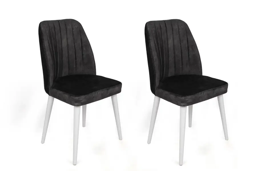 Jídelní židle ALFA-497 V2 (set 2 ks) ASIRGROUP