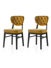 Jídelní židle ELMA 777 V2 (set 2 ks) ASIRGROUP