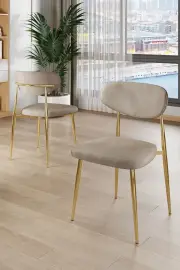 Jídelní židle VINA (set 4 ks) – Set 4 ks / Cappuccino / Zlatá ASIRGROUP