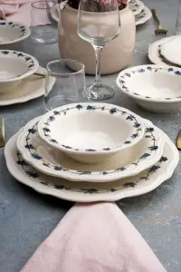 Kuchyňské doplňky BLUEBERRY (set 24 ks) ASIRGROUP (foto 5)