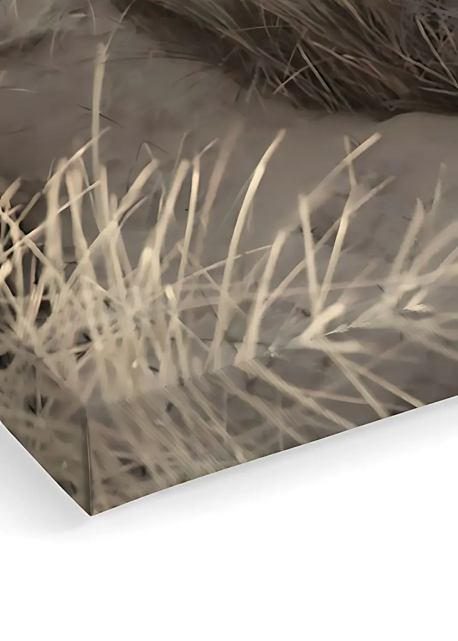 Obraz na plátně ARTCANVAS105 ASIRGROUP