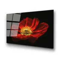 Obraz na skle UV-204 70x100 cm ASIRGROUP (foto 6)