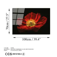Obraz na skle UV-204 70x100 cm ASIRGROUP (foto 8)