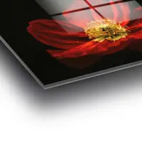 Obraz na skle UV-204 70x100 cm ASIRGROUP (foto 9)