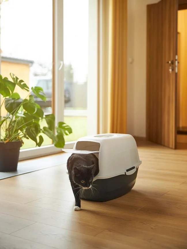 ROTHO ECO BAILEY toaleta pro kočky Rojaplast (foto 5)