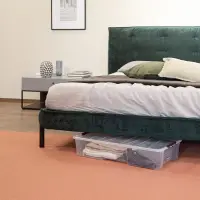 Úložný box DEA HOME POD POSTEL JOLLY Rojaplast (foto 7)