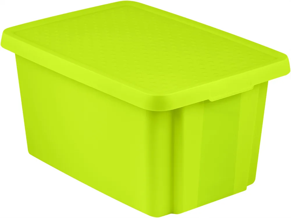 Úložný box ESSENTIALS Rojaplast (foto 24)