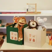 Úložný box HMY – Zelená / Krémová ASIRGROUP
