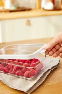 Úložný box ROTHO CAUMA Organizér do ledničky 2,15 L Rojaplast (foto 16)