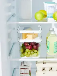 Úložný box ROTHO CAUMA Organizér do ledničky 4,65 L Rojaplast (foto 18)