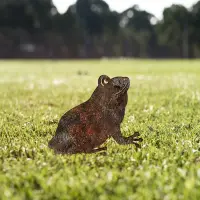 Zahradní dekorace FROG A 01 ASIRGROUP (foto 8)