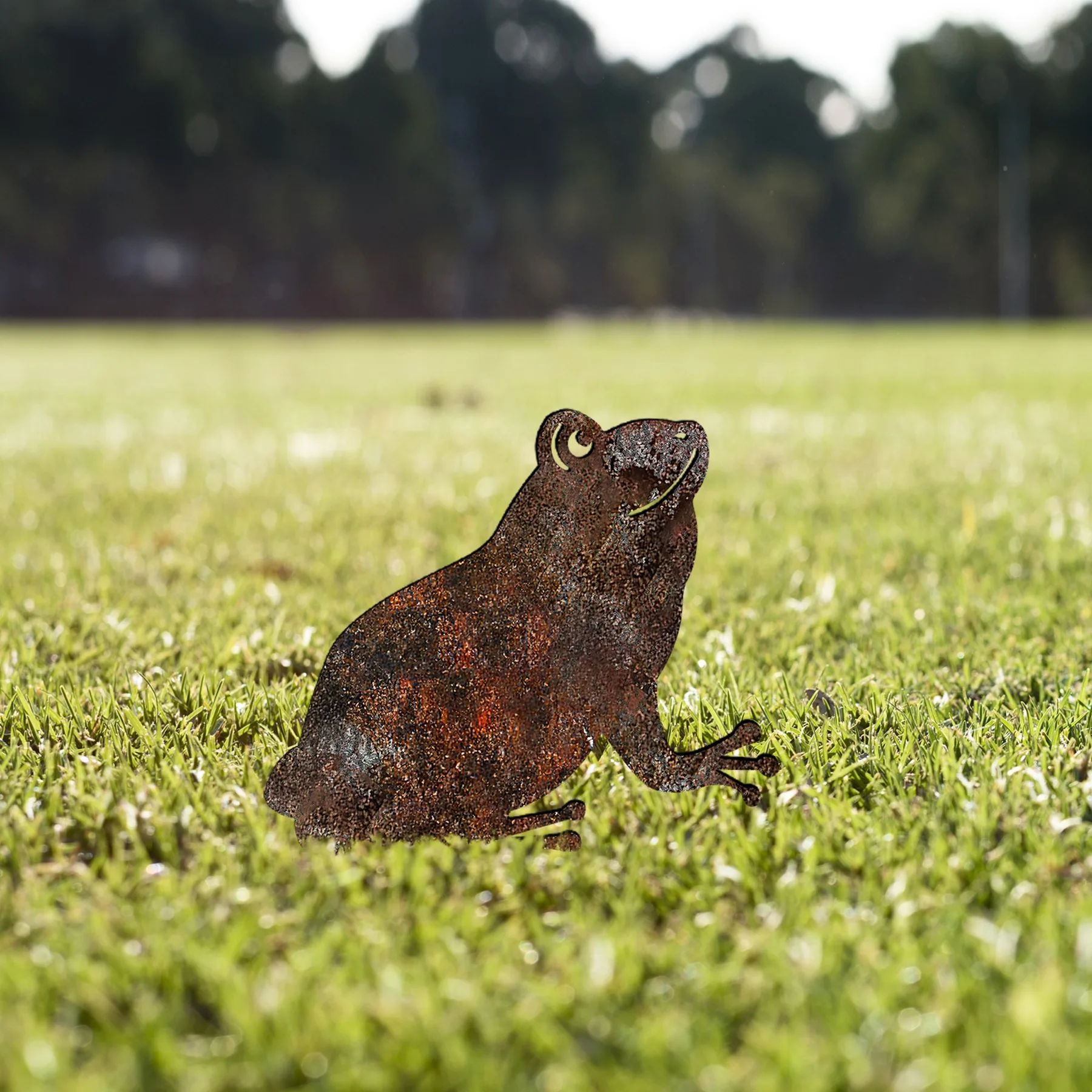 Zahradní dekorace FROG A 01 ASIRGROUP