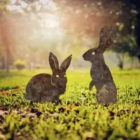 Zahradní dekorace RABBITS A 01 (set 2 ks) ASIRGROUP